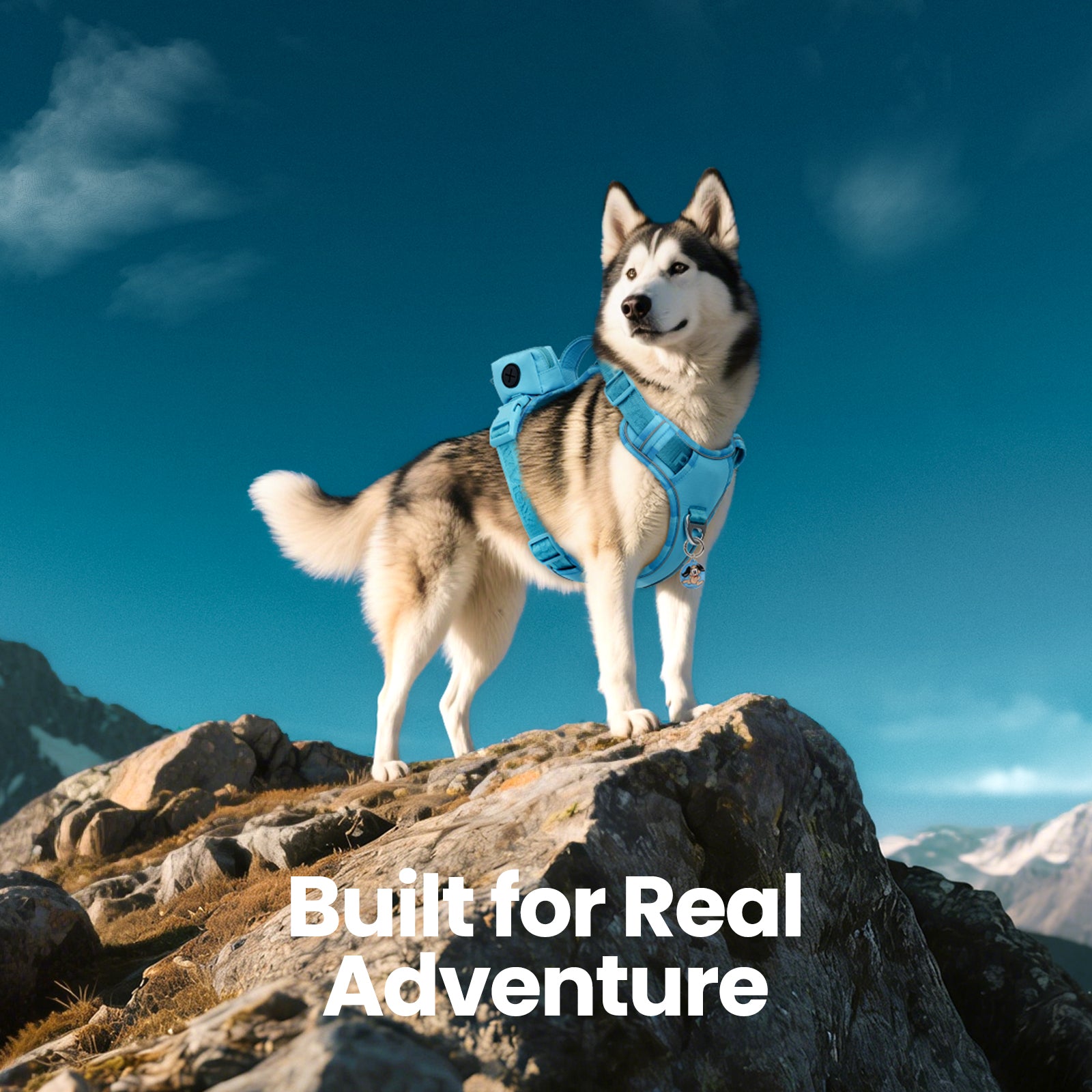 PawView Reflective Harnais with Handle