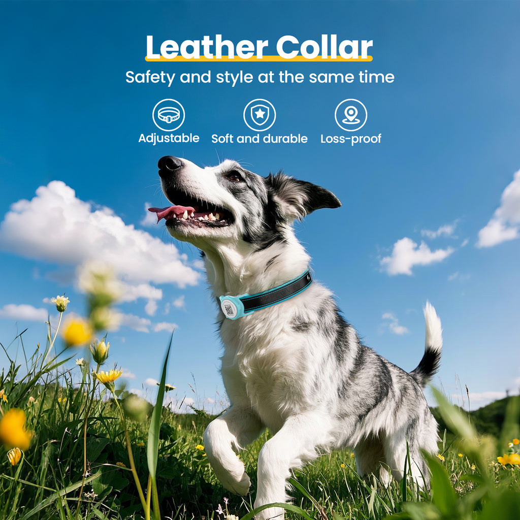 Pawview AirTag Dog Collar Holder with Smart QR Code for Cats and Dogs, Scan Alert, Instant Location, Online Profile, Contact Information