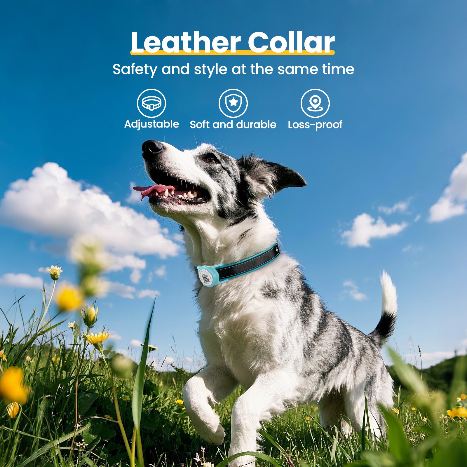 Pawview AirTag Dog Collar Holder with Smart QR Code for Cats and Dogs, Scan Alert, Instant Location, Online Profile, Contact Information