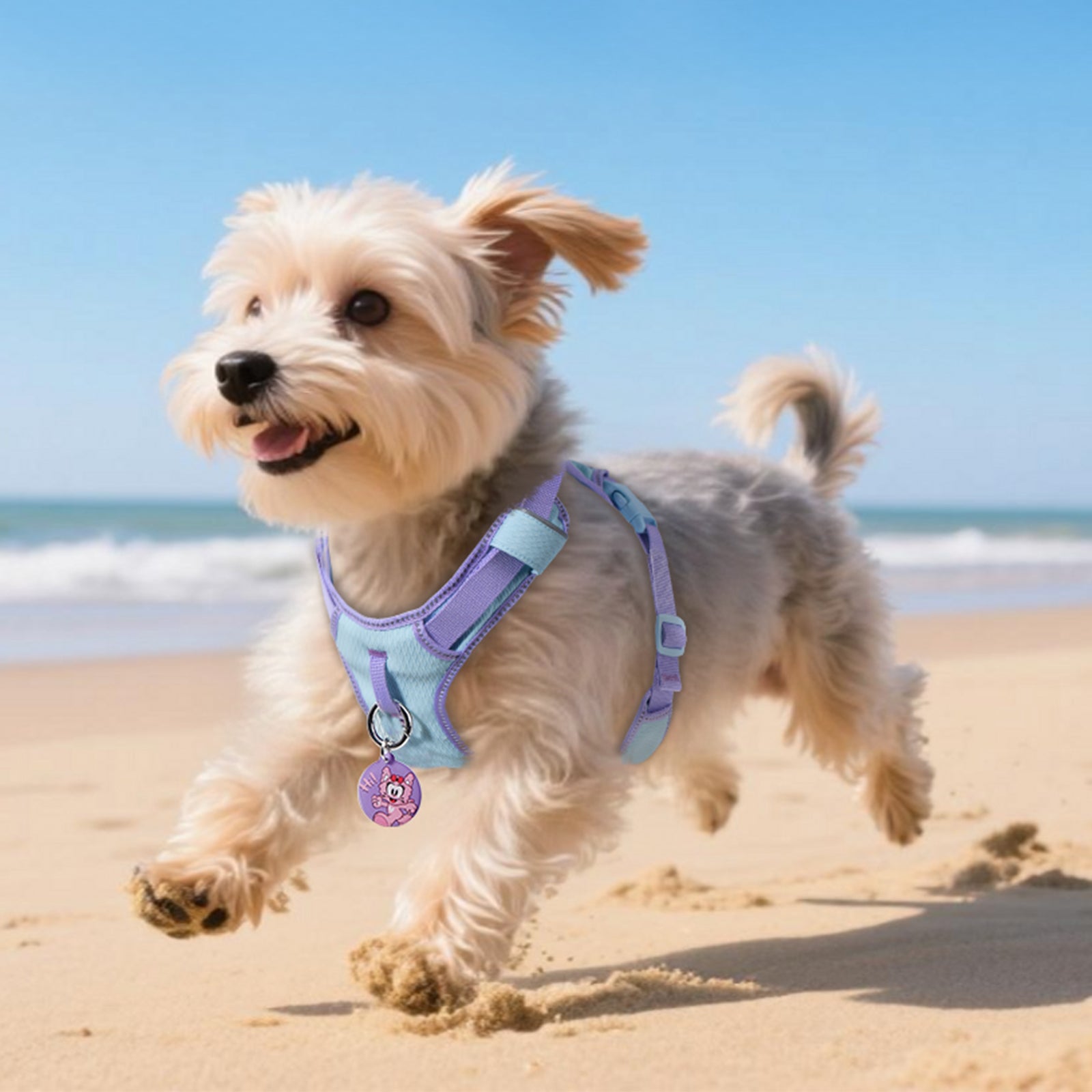 Pawview Super Lightweight Harness for Small and Medium Dogs, Easy to Put On, Adjustable, Padded, Reflective, Anti-Pull with 2 Attachment Points and Control Handle