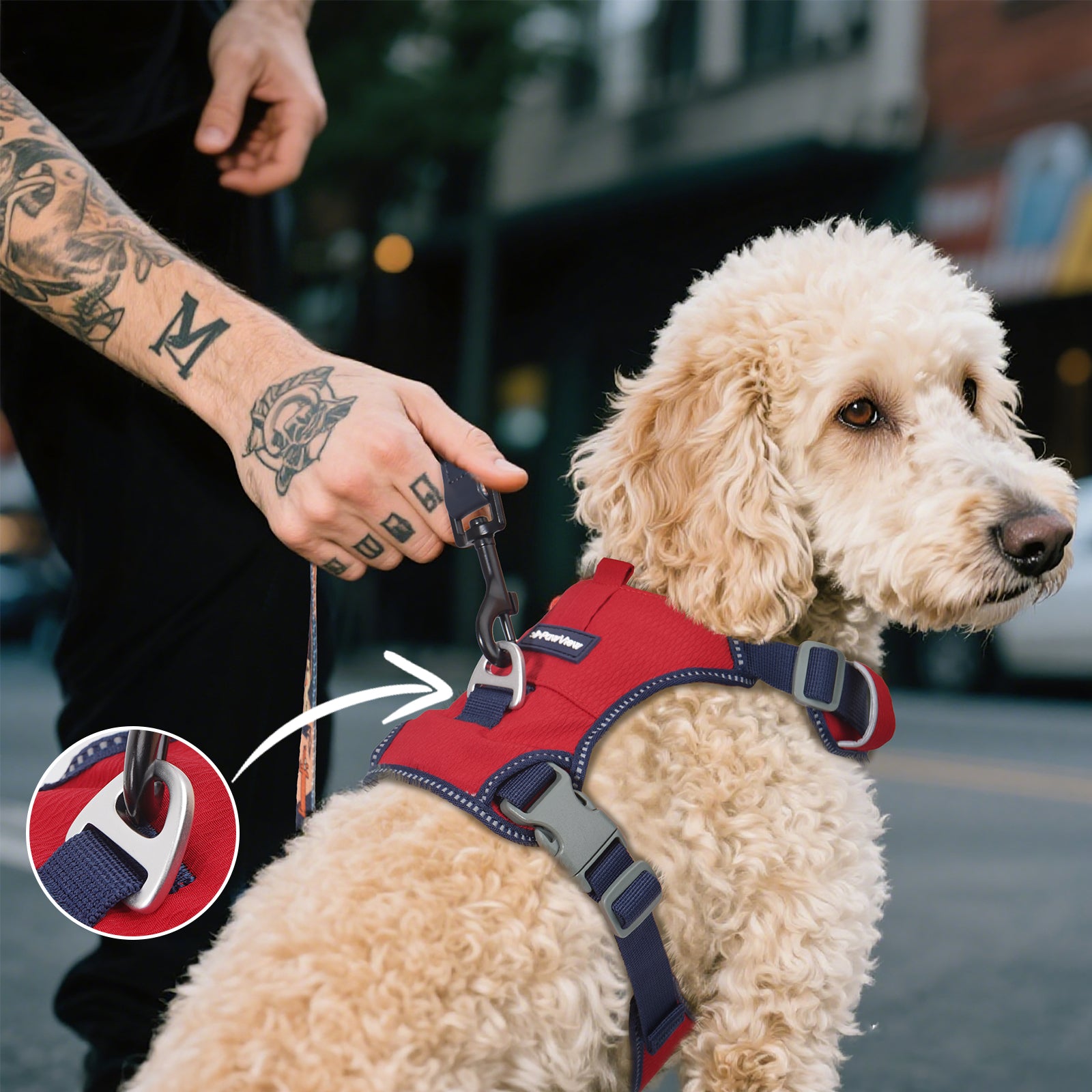 Pawview Super Lightweight Harness for Small and Medium Dogs, Easy to Put On, Adjustable, Padded, Reflective, Anti-Pull with 2 Attachment Points and Control Handle