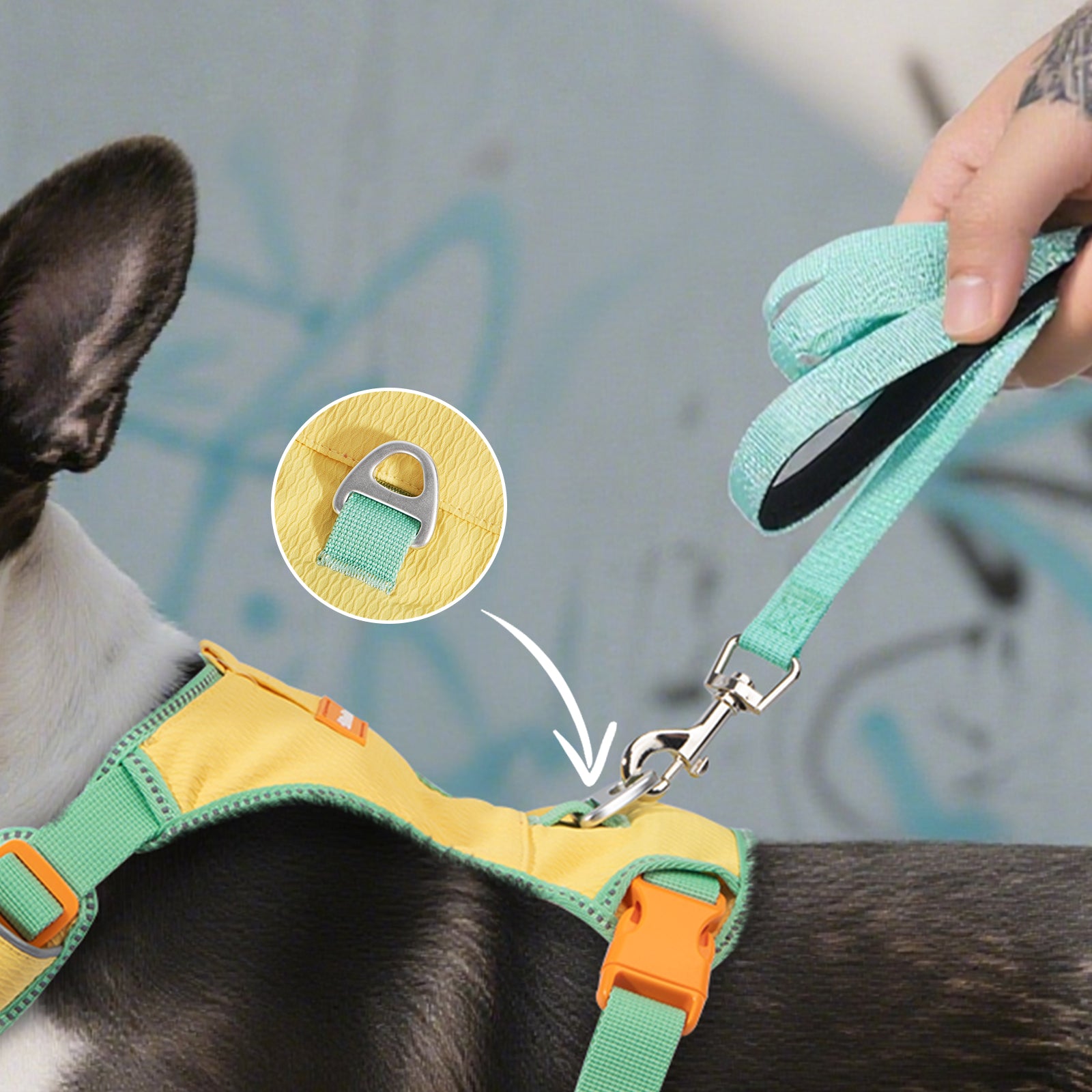 Pawview Super Lightweight Harness for Small and Medium Dogs, Easy to Put On, Adjustable, Padded, Reflective, Anti-Pull with 2 Attachment Points and Control Handle