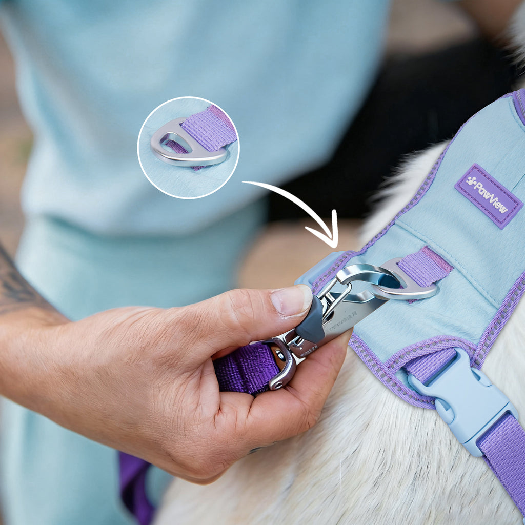 Pawview Super Lightweight Harness for Small and Medium Dogs, Easy to Put On, Adjustable, Padded, Reflective, Anti-Pull with 2 Attachment Points and Control Handle