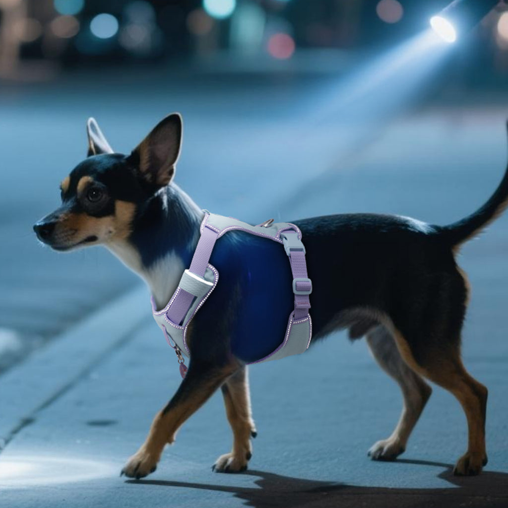 Pawview Super Lightweight Harness for Small and Medium Dogs, Easy to Put On, Adjustable, Padded, Reflective, Anti-Pull with 2 Attachment Points and Control Handle