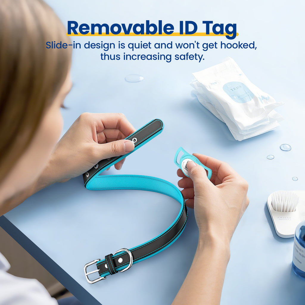 Pawview AirTag Dog Collar Holder with Smart QR Code for Cats and Dogs, Scan Alert, Instant Location, Online Profile, Contact Information