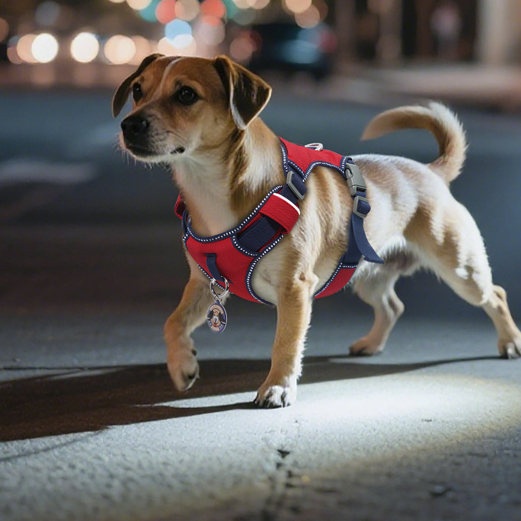 Pawview Super Lightweight Harness for Small and Medium Dogs, Easy to Put On, Adjustable, Padded, Reflective, Anti-Pull with 2 Attachment Points and Control Handle