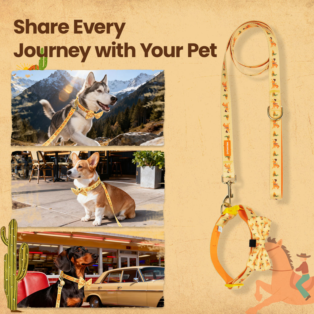 PawView Western Cowboy Pet Collar, Leash, Bow Tie with ID Tag, Orange Carrot 