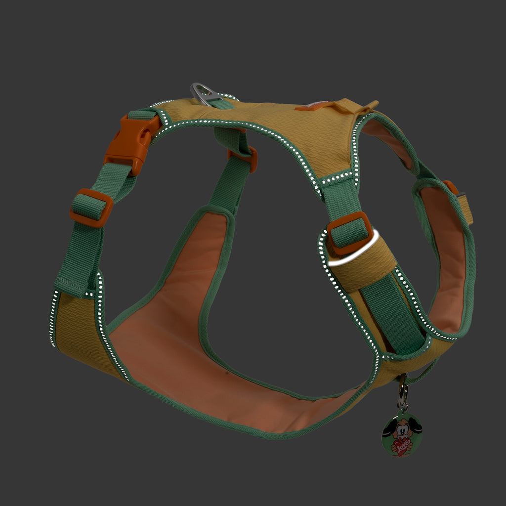 Pawview Super Lightweight Harness for Small and Medium Dogs, Easy to Put On, Adjustable, Padded, Reflective, Anti-Pull with 2 Attachment Points and Control Handle