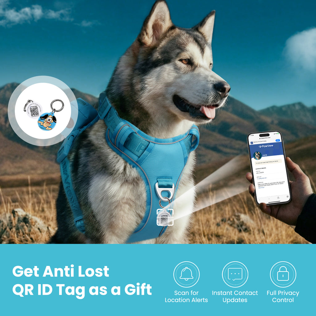 PawView Reflective Harnais with Handle