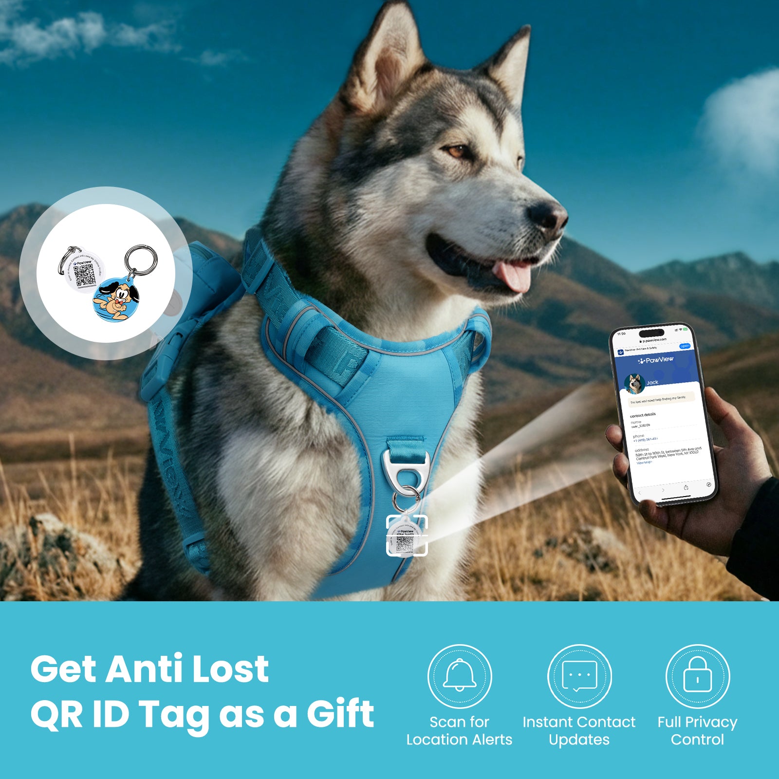 PawView Reflective Harnais with Handle