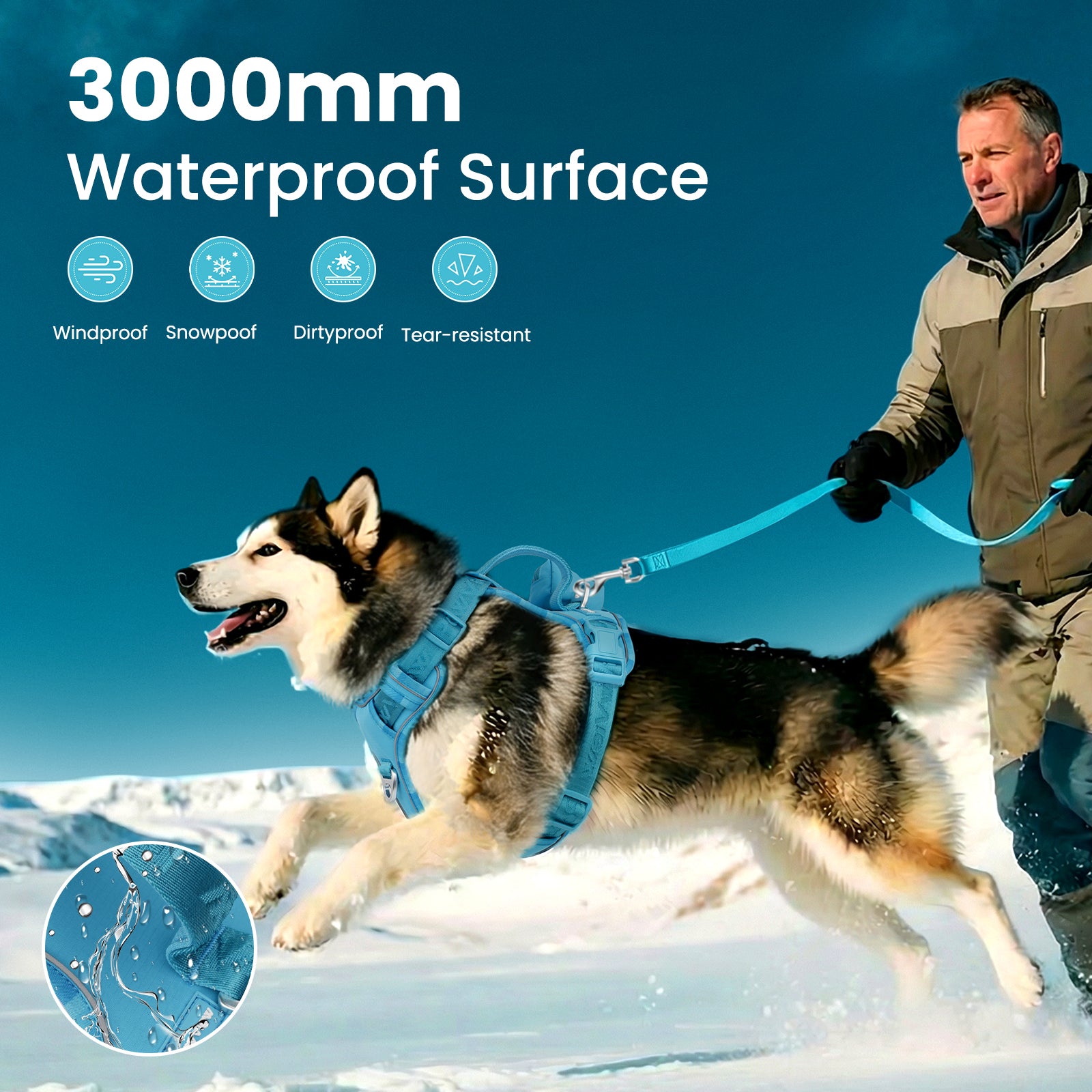 PawView Reflective Harnais with Handle