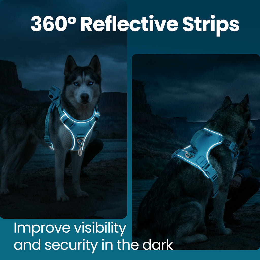 PawView Reflective Harnais with Handle
