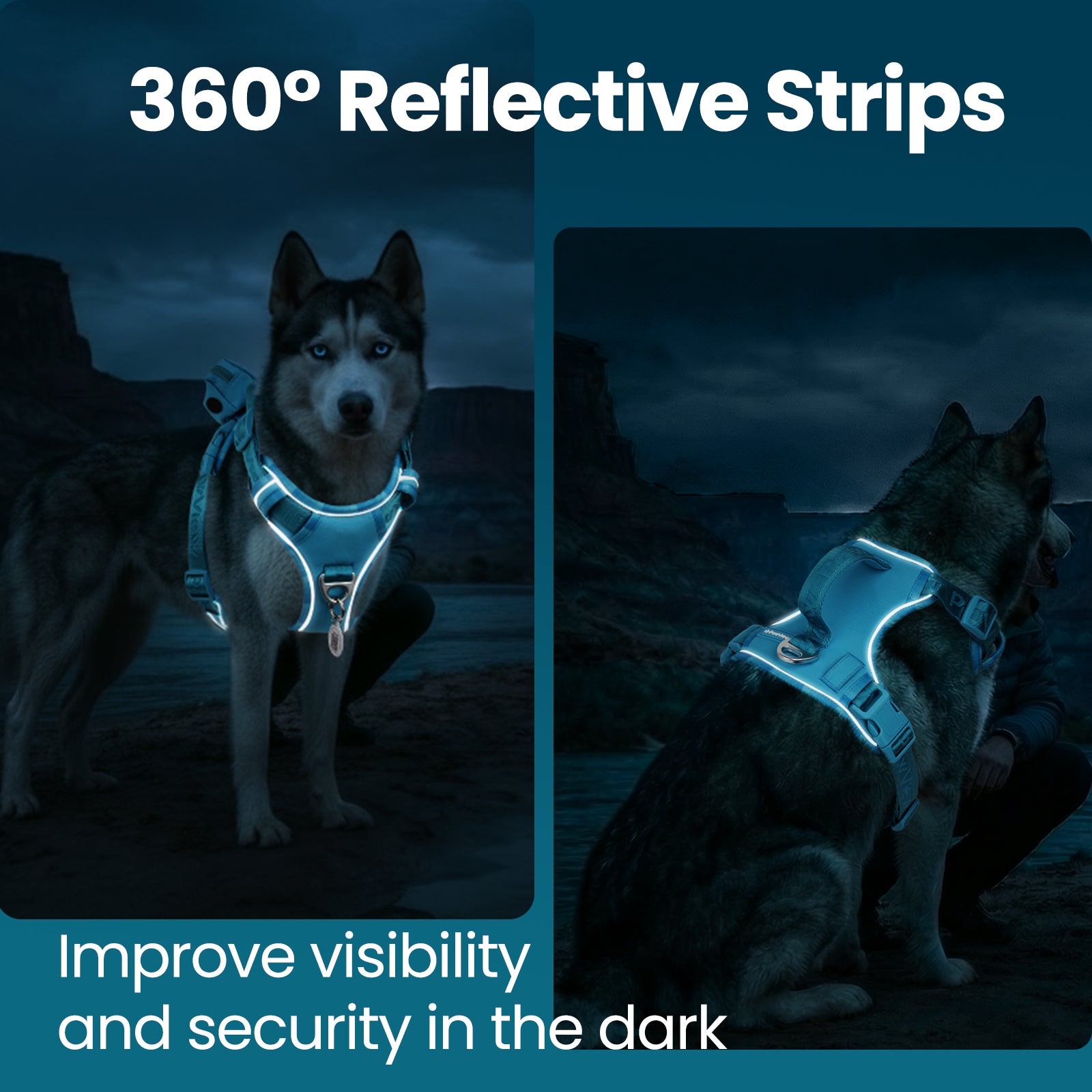 PawView Reflective Harnais with Handle