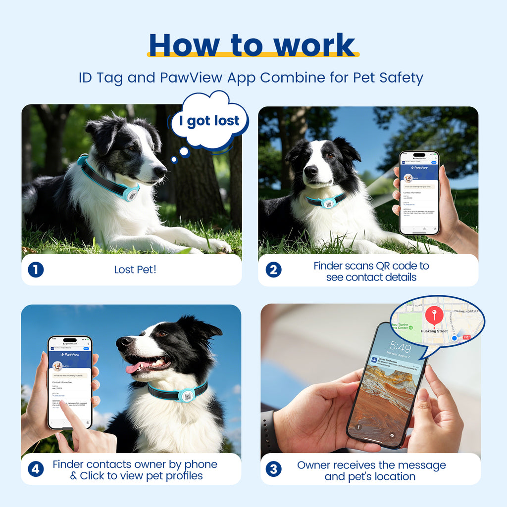 Pawview AirTag Dog Collar Holder with Smart QR Code for Cats and Dogs, Scan Alert, Instant Location, Online Profile, Contact Information