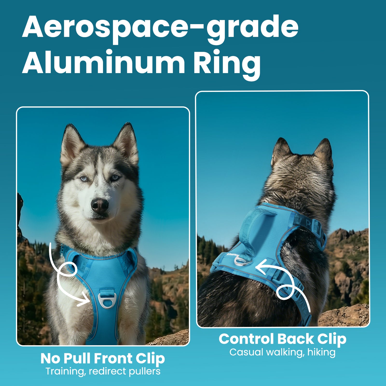 PawView Reflective Harnais with Handle