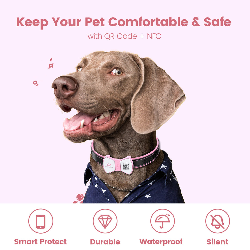 PawView Dog ID Tag with QR Code &amp; NFC, Silent Silicone, Customizable for Pets, QR Scan for Instant Location Alerts and Editable Pet Profile (Copy)