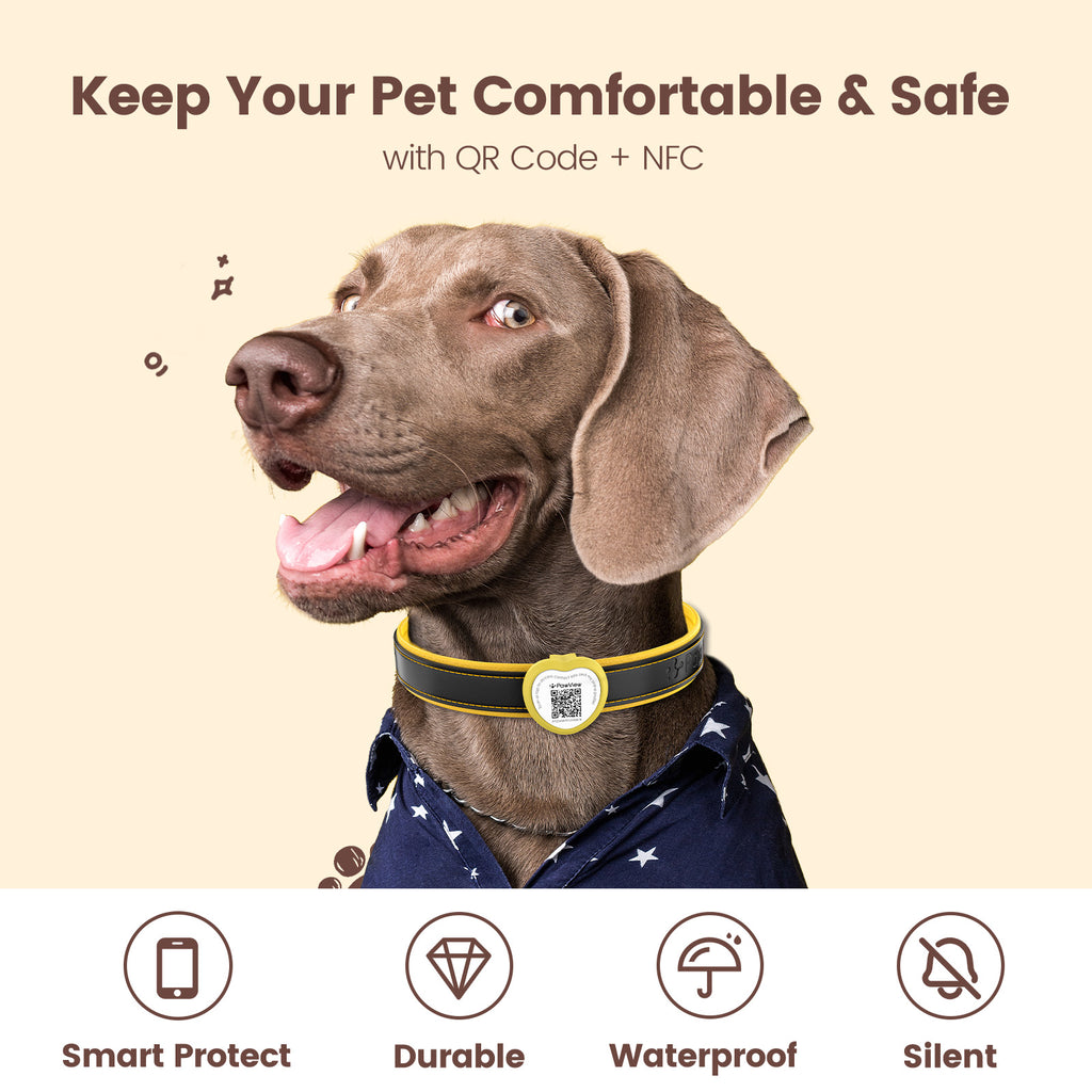 PawView Dog ID Tag with QR Code &amp; NFC, Silent Silicone, Customizable for Pets, QR Scan for Instant Location Alerts and Editable Pet Profile (Copy)