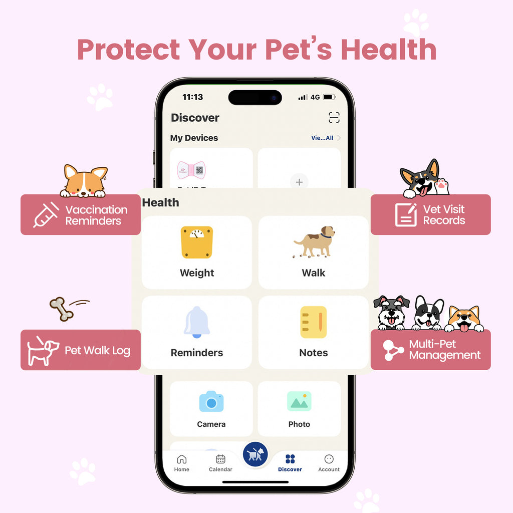 PawView Dog ID Tag with QR Code &amp; NFC, Silent Silicone, Customizable for Pets, QR Scan for Instant Location Alerts and Editable Pet Profile (Copy)