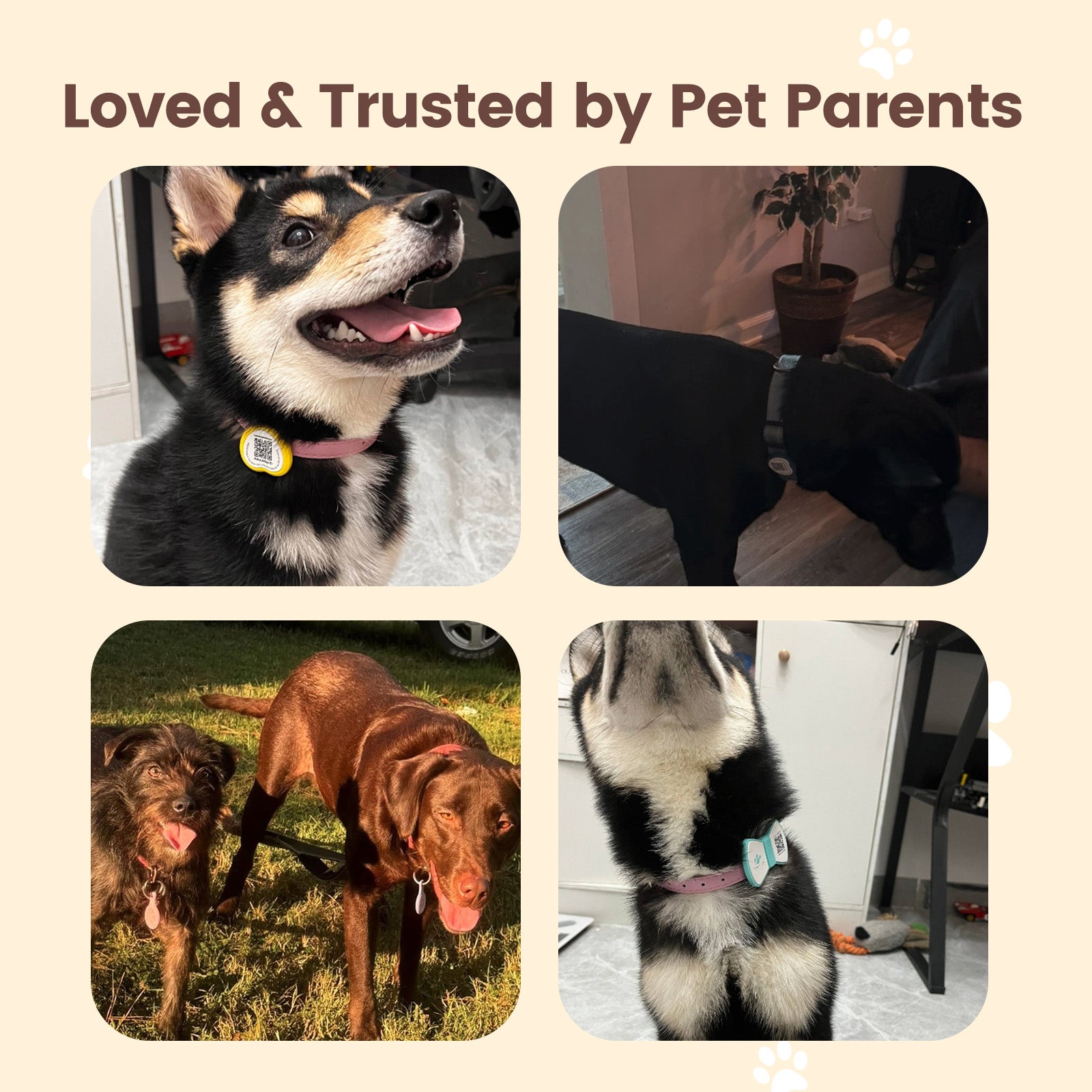 PawView Dog ID Tag with QR Code &amp; NFC, Silent Silicone, Customizable for Pets, QR Scan for Instant Location Alerts and Editable Pet Profile (Copy)