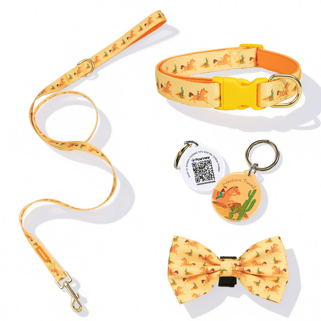 PawView Western Cowboy Pet Collar, Leash, Bow Tie with ID Tag, Orange Carrot 