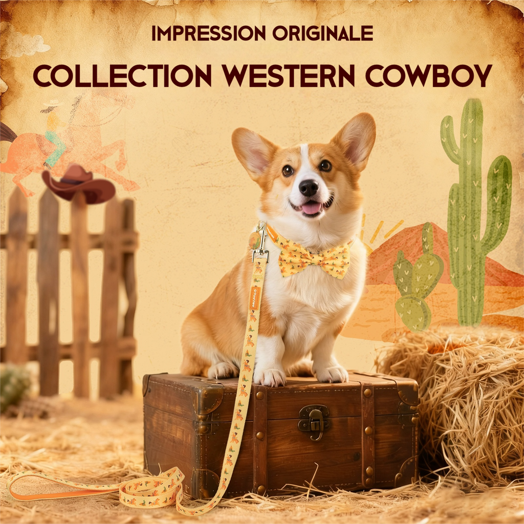 PawView Western Cowboy Pet Collar, Leash, Bow Tie with ID Tag, Orange Carrot 