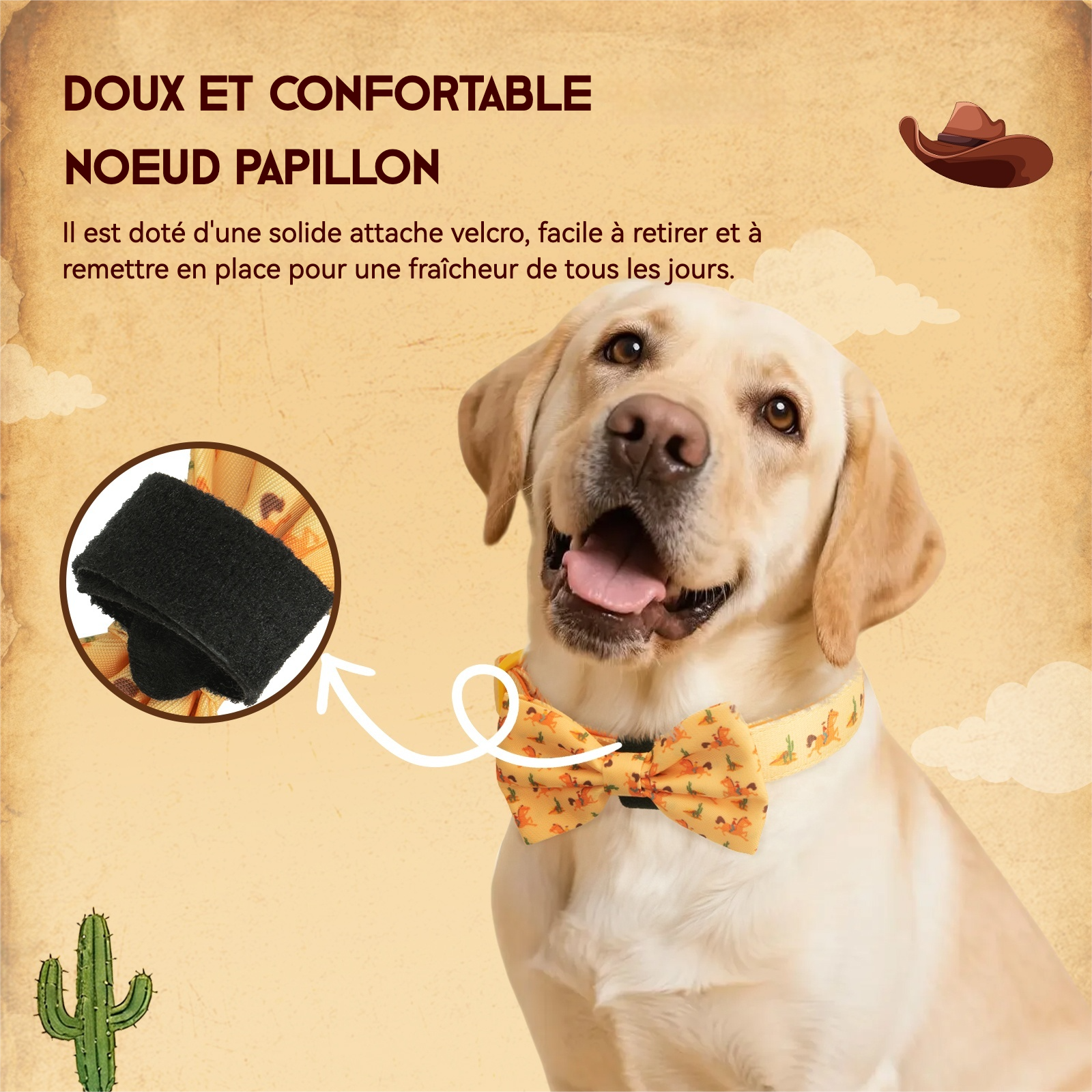 PawView Western Cowboy Pet Collar, Leash, Bow Tie with ID Tag, Orange Carrot 