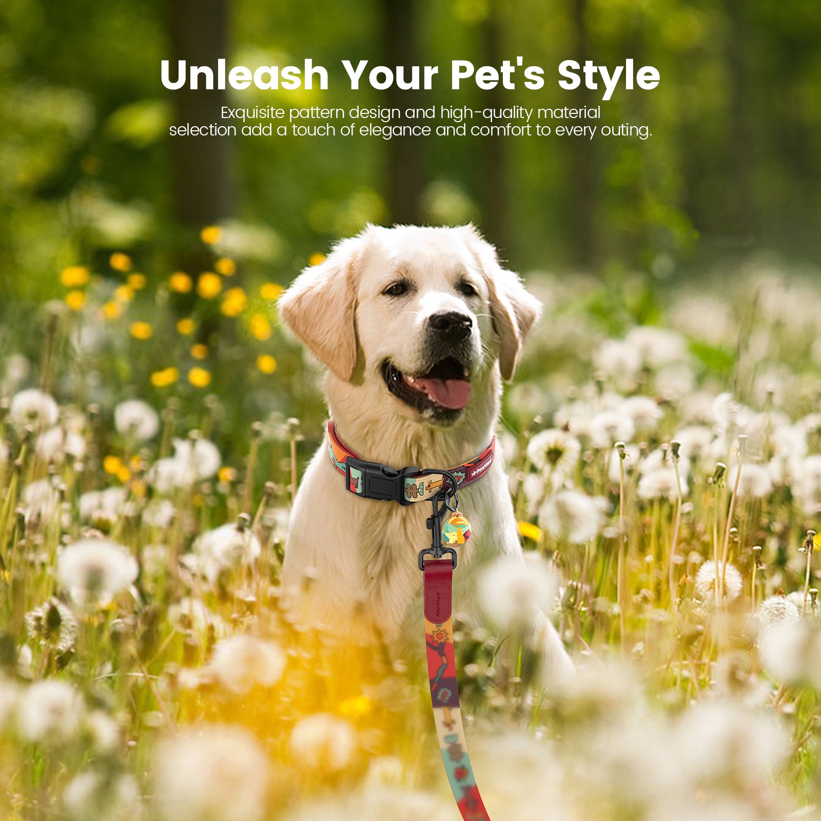 Dog collar and leash with smart ID tag – Adjustable, soft, padded, sturdy, comfortable set with cute pop art design for small, medium, and large dogs