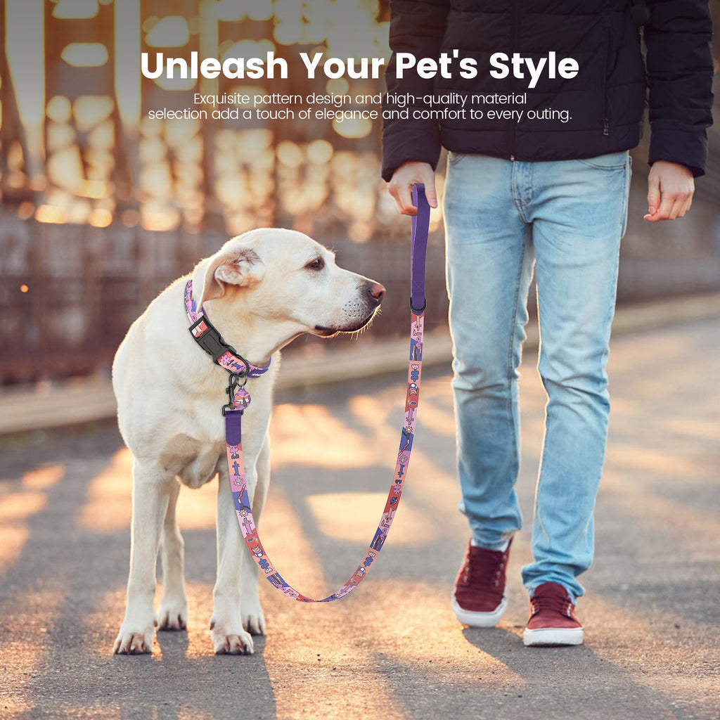 Dog collar and leash with smart ID tag – Adjustable, soft, padded, sturdy, comfortable set with cute pop art design for small, medium, and large dogs