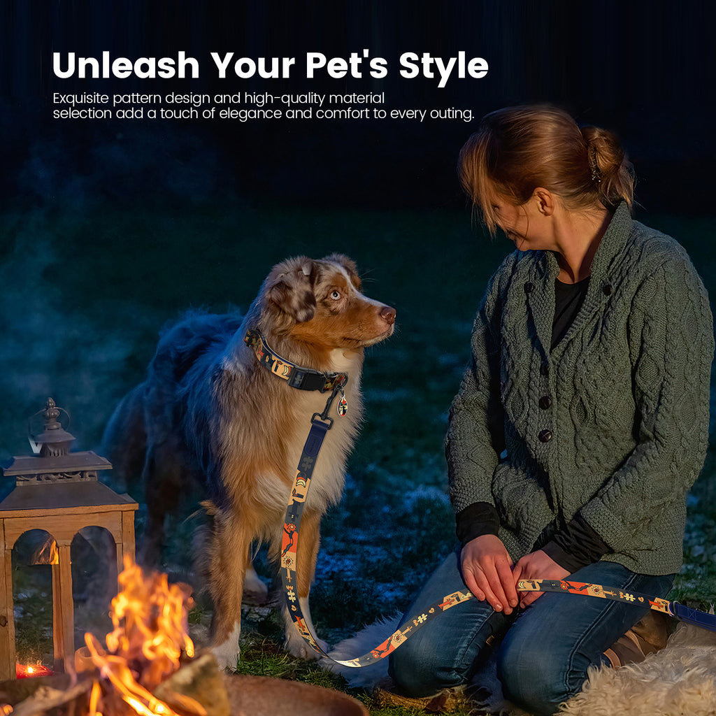 Dog collar and leash with smart ID tag – Adjustable, soft, padded, sturdy, comfortable set with cute pop art design for small, medium, and large dogs