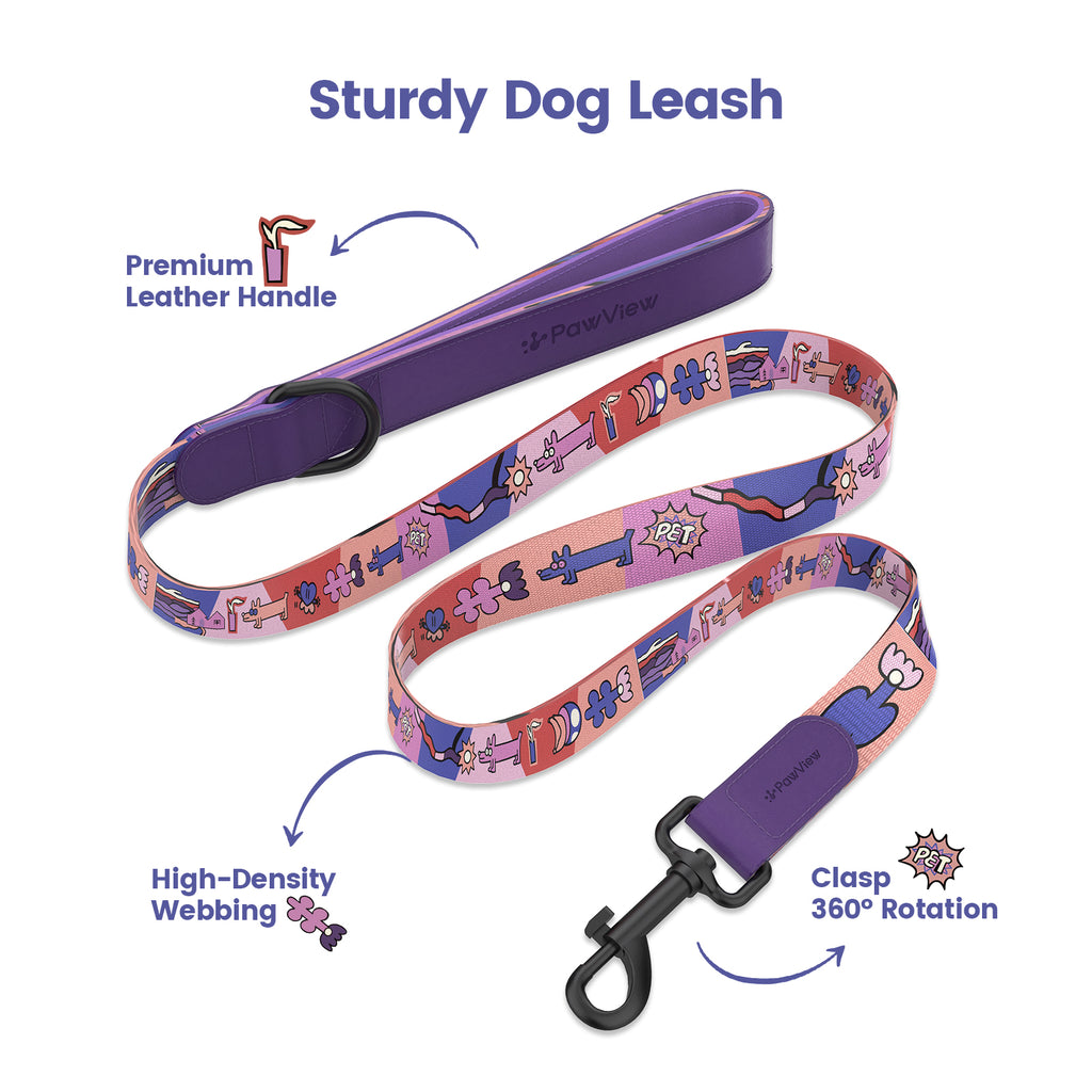 Dog collar and leash with smart ID tag – Adjustable, soft, padded, sturdy, comfortable set with cute pop art design for small, medium, and large dogs